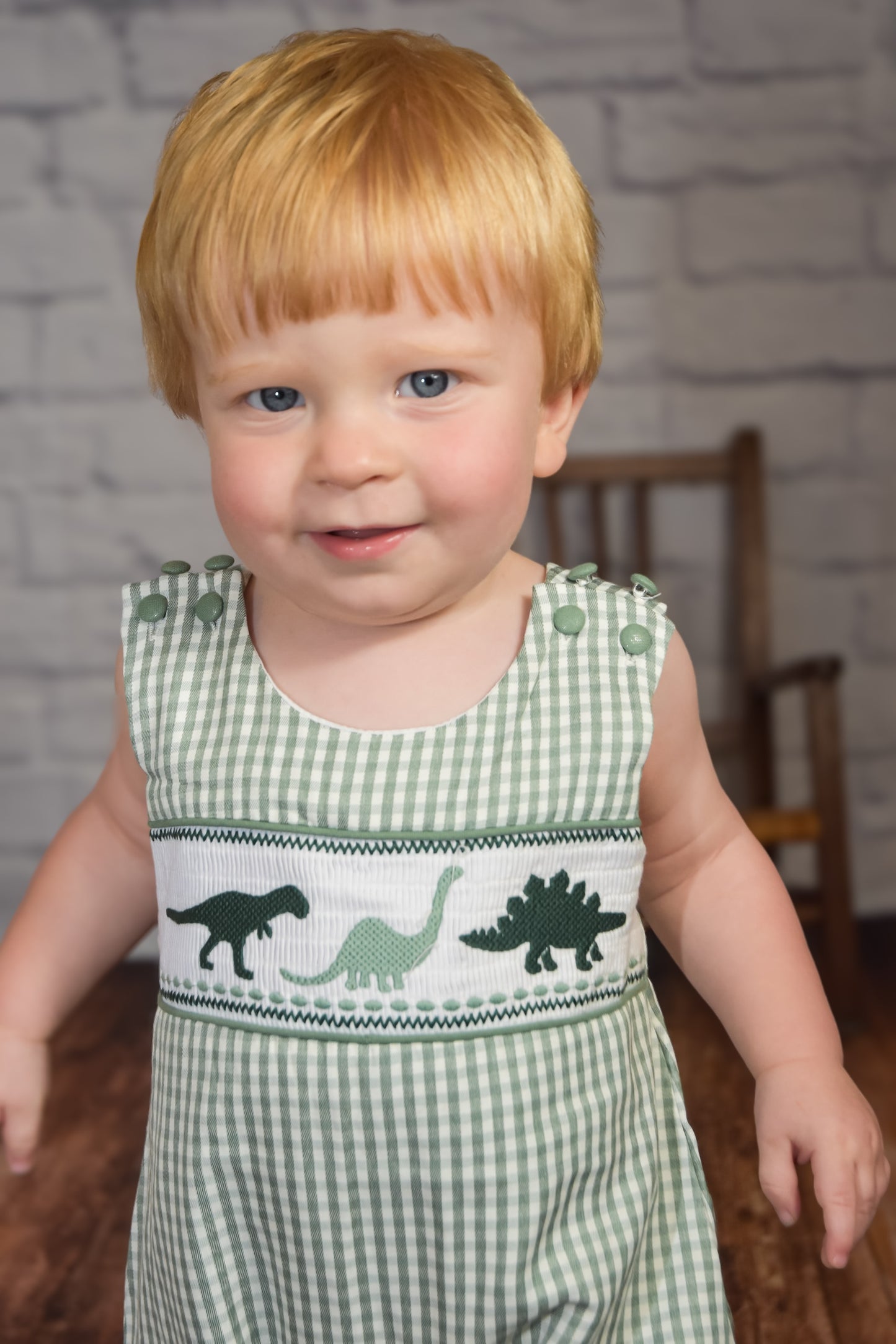 Green Gingham Dinosaur Smocked Shortalls