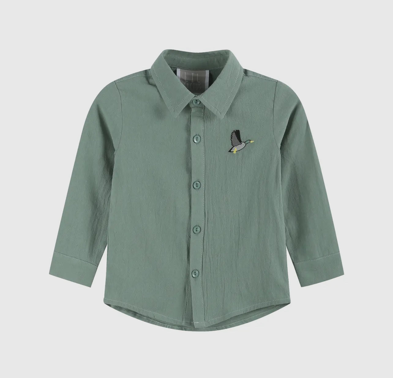 Sage Green Mallard Boys Button Down Dress Shirt Lil Cactus