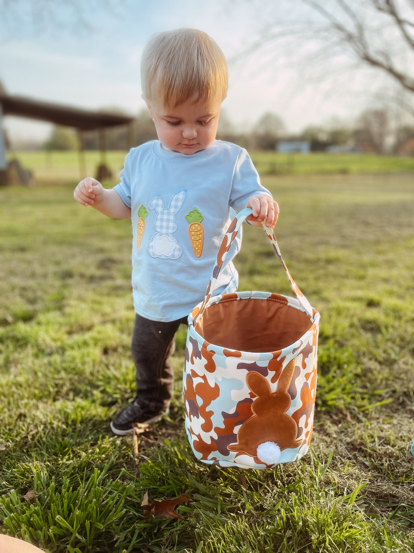 Blue Rabbit Carrot Applique Boy Top